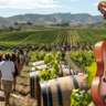 Lavaux Guided Vineyard Walk & Classic Music (Limited Tickets)