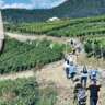 Culinary Wine Walk & Concerts in Coteaux Du Soleil (RSVP Slot) 