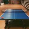 Table Tennis for Fun and Exercise