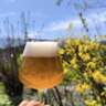Maifest? Tanz in Den Mai? Ein Prosit Auf Den Mai!
