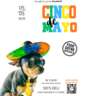 CINCO DE MAYO