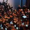 Classical Music Concert, Drink