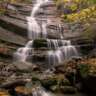 Into the Wild Heart of the Casentinesi Forest