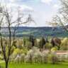 Pretzfeld - Kirschenweg Hike - Cherries Hunt