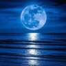 Rare Blue Full Moon Yoga & Potluck
