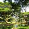 Walk Lumpini to Benjakitti Park