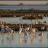 CANCELLED :Week-End at the Delta of Ebro River  