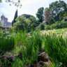 Sunday Tastings at Dusk in the Botanical Gardens
