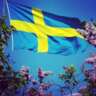 Swedish National Day Celebration & Picnic 
