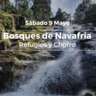 Bosques De Navafria
