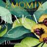 An Unforgettable Blend of Illusion, Dance, and Poetry