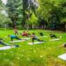 Yoga in the Park: Start Your Weekend Right! 