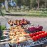 Spring Picnic/Barbeque  at Seaside 