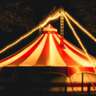 Circus Knie