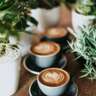 Cafe Meeting