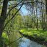 Walk & Talk German From Ratingen to Eggerscheidt