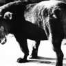 Visit a Photo Exhibition of A Famous Japanese Photographer