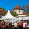 Wine Festival at Blutenburg Castle