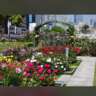 InterNations Osaka: Nakanoshima Rose Garden Event 