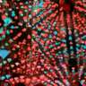 Blooming Wonders: A Celebration of Spring | ARTECHOUSE Houston