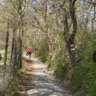 Walk: Sw. Nr 2 Hermanskogel & Heuriger