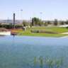 Park Juan Carlos I- Great Walk With Dogs