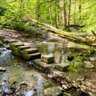 Hike in Forested Hills Above Huy