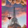 Fête De La Musique—La Vie En Rose (Paris Pink) Party