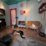 Cat Lovers Cafè 