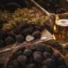 Exceptional Truffles and Wines - Exclusive Event