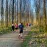 Bambesch Forest Run +/- 10K