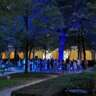 La Nuit Européenne Des Musées " Musee Des Beaux Arts De Lyon "