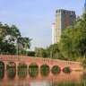 Relaxing Chatuchak Park Walk