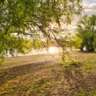 Rhine Walk, Picnic & Swim