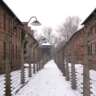 Walking Tour: Nazi Armaments and Forced Labor in Frankfurt