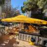 World Street Food Journey in Caddebostan 🌎
