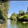 Rhine Walk, Picnic & Swim