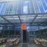 InterNations Belgrade Spring Fling Social