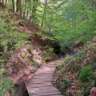 Walking Mindfulness