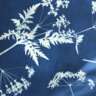 Cyanotype Workshop