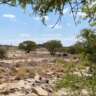Trip to National Park