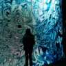 ART NIGHT: BioDesign Night at Franz | May 2026