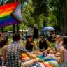 Pride in the Park / Picnic Del Orgullo En El Parque