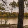 A BLA BLA WALK in Forêt De Bouconne