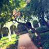InterNations BCN - SANT JOAN SPECIAL EVENT @ HIDDEN GARDEN