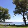 Lake Zurich Monday Picknick and Swim