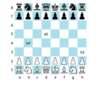 Chess: Look, Learn, Play.