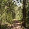 Energizing Hike & Refreshing Picnic