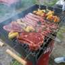 Picnic With BBQ Near Modena