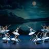 Swan Lake Ballet